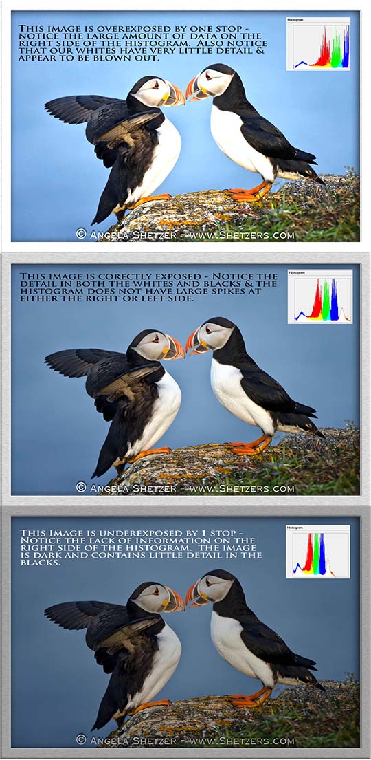 Histogram-Example2