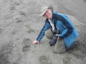 Iain inspecting some fresh grizzly bear tracks