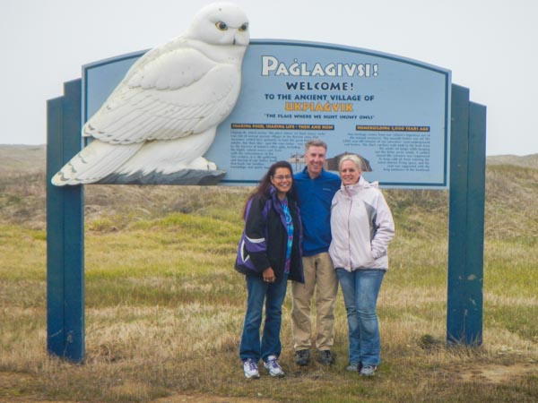 Snowy Owl Picture