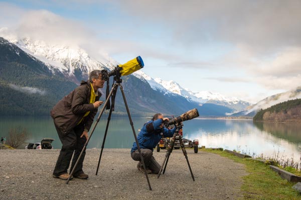 Bald Eagle photography tour