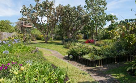 CostaRicaPhotographyWorkshop-Gardens