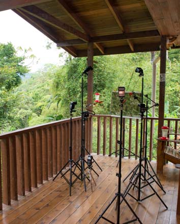 CostaRicaPhotographyWorkshopHummingbirdSetup