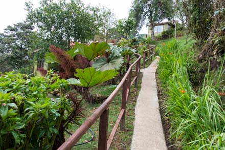 CostaRicaPhotographyWorkshopLodgePath