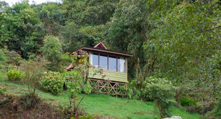 CostaRicaPhotographyWorkshopLodgeRoom3