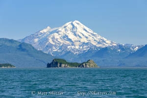 Grizzly Bear photo tours. Optional Puffin Photography Tour.