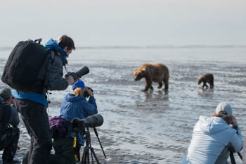 Grizzly Bear Photo Workshop