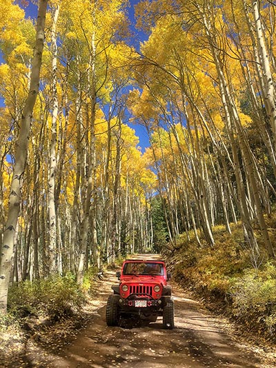 Colorado Fall Colors with Jeep