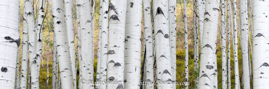 Colorado Fall Colors Photography Workshop