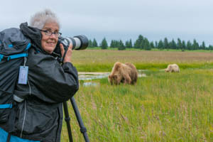 Bear Photo Workshop