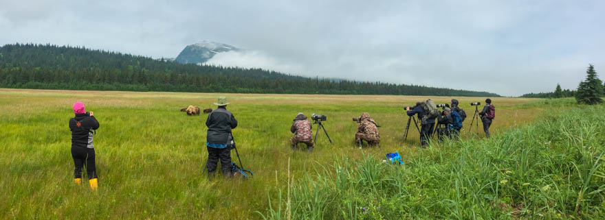 Bear Photo Workshop Lake Clark