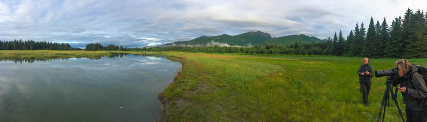 Bear Photo Workshop Lake Clark