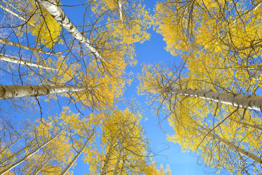 Colorado Fall Colors Photo Workshop1 4