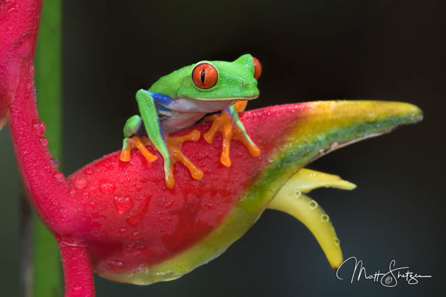 Costa Rica Photo Workshop1 4