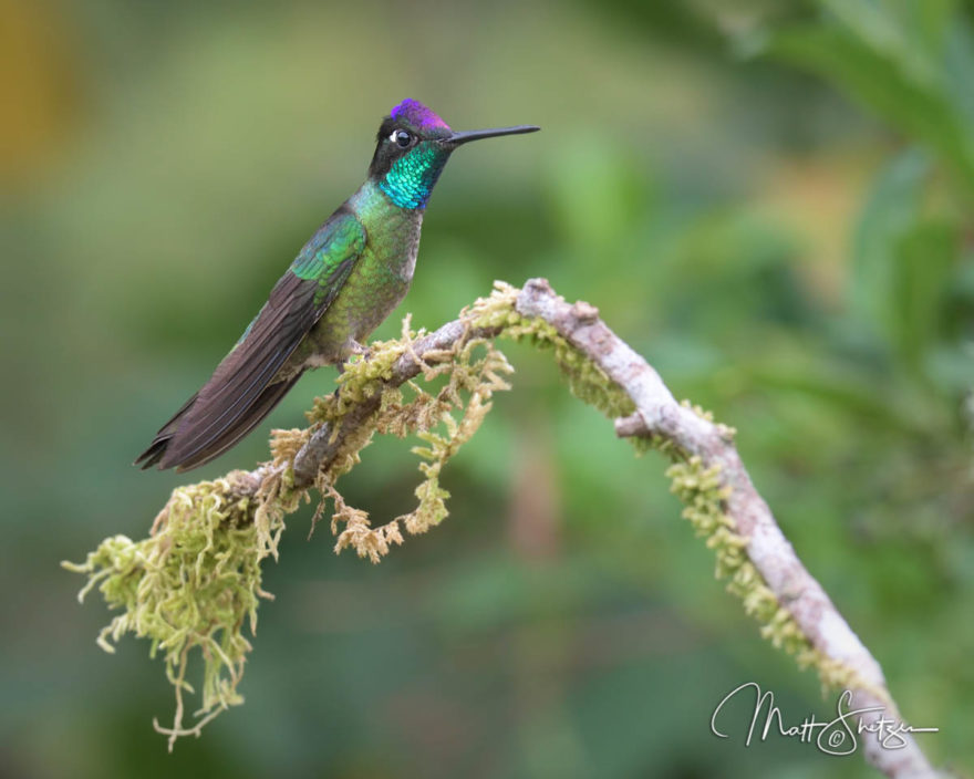 Costa Rica Photo Workshop2 5