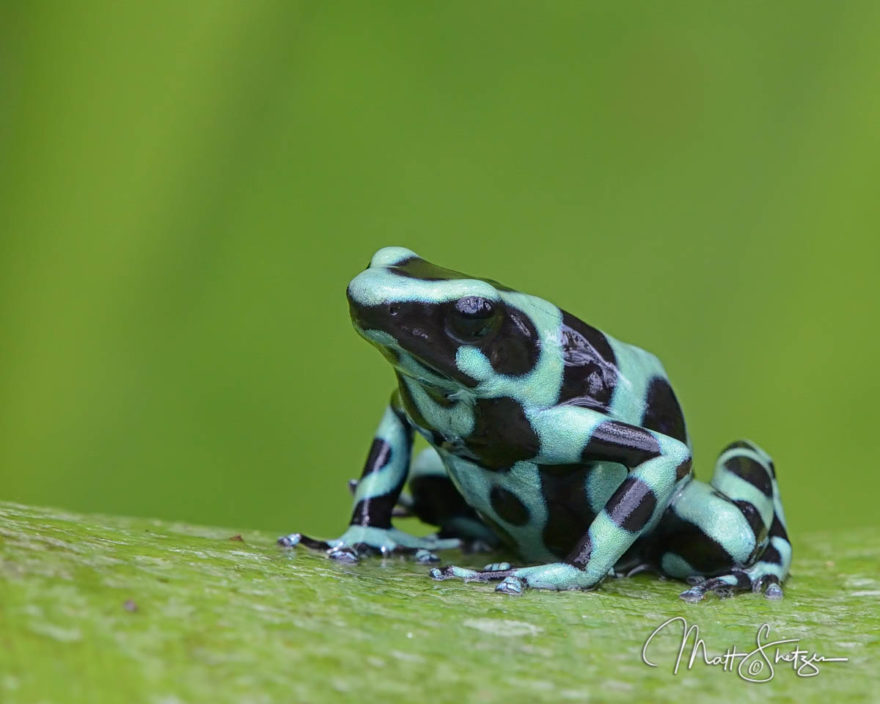 Costa Rica Photo Workshop3 6