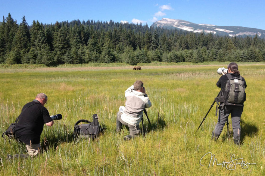 Grizzly Bear Photo Workshop2 1