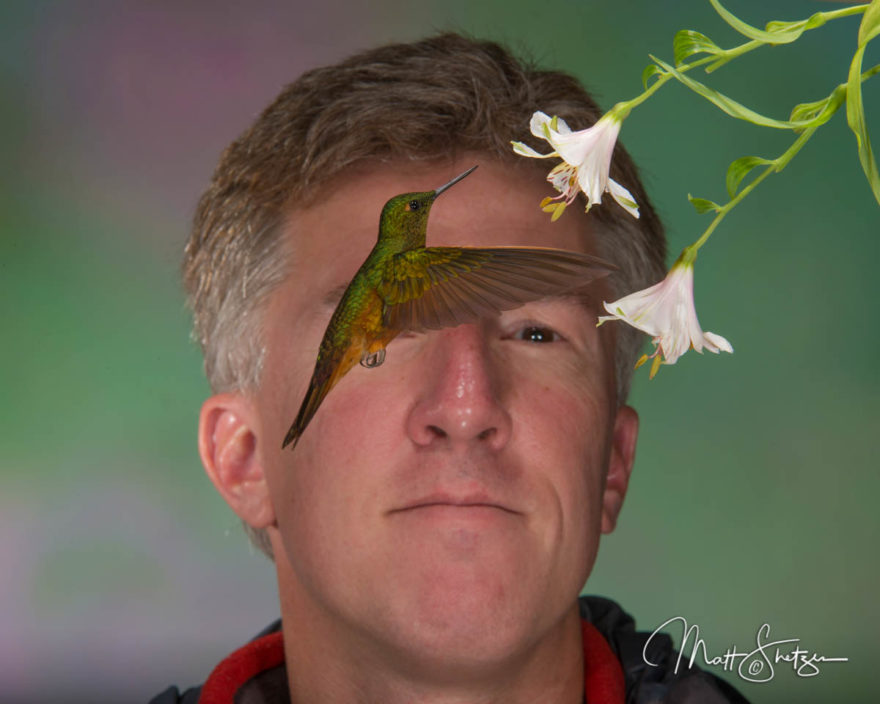 Hummingbird Photo Workshop4 1