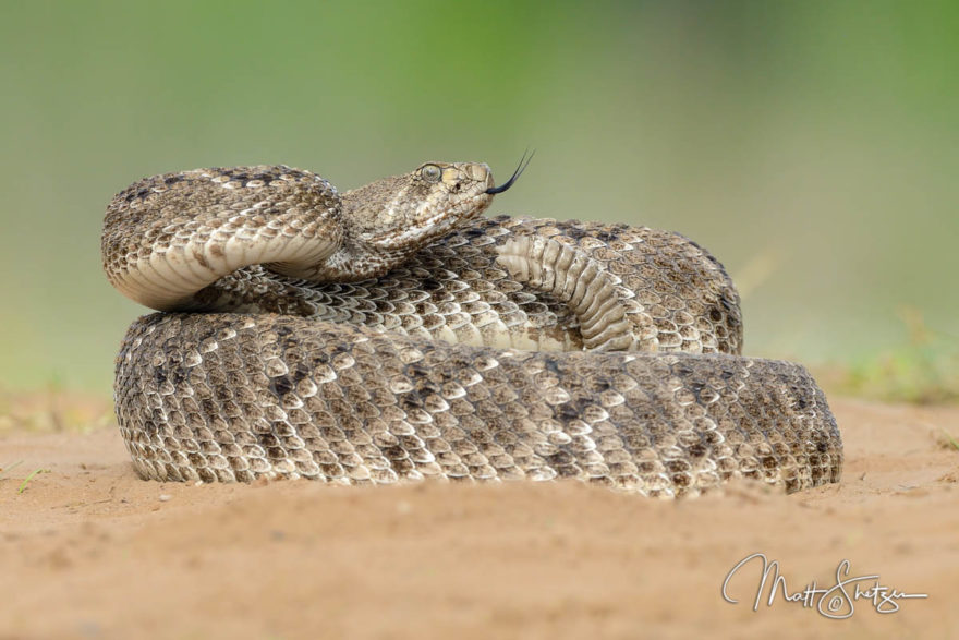 South Texas Photo Workshop3 6