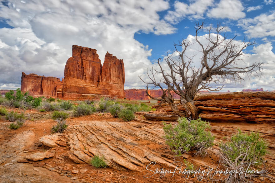 Arches National Park