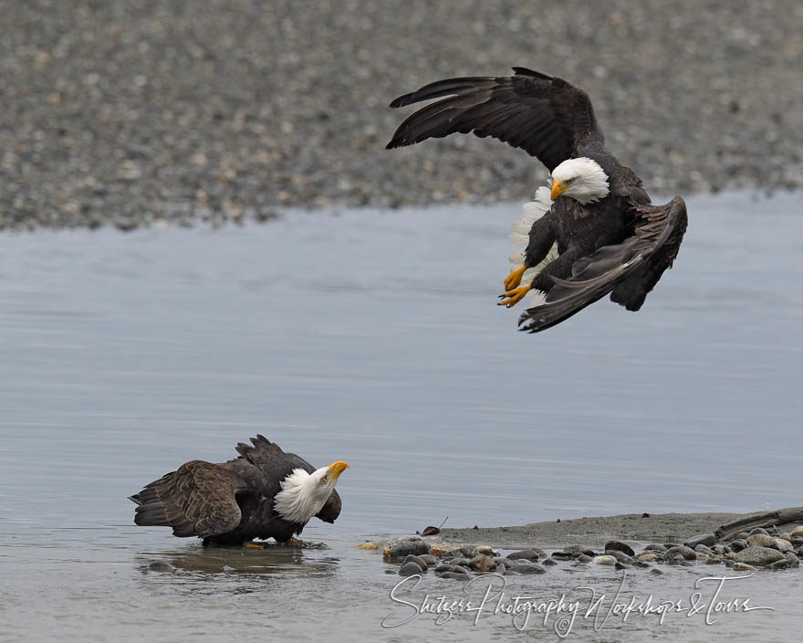 Attack on the Chilkat river