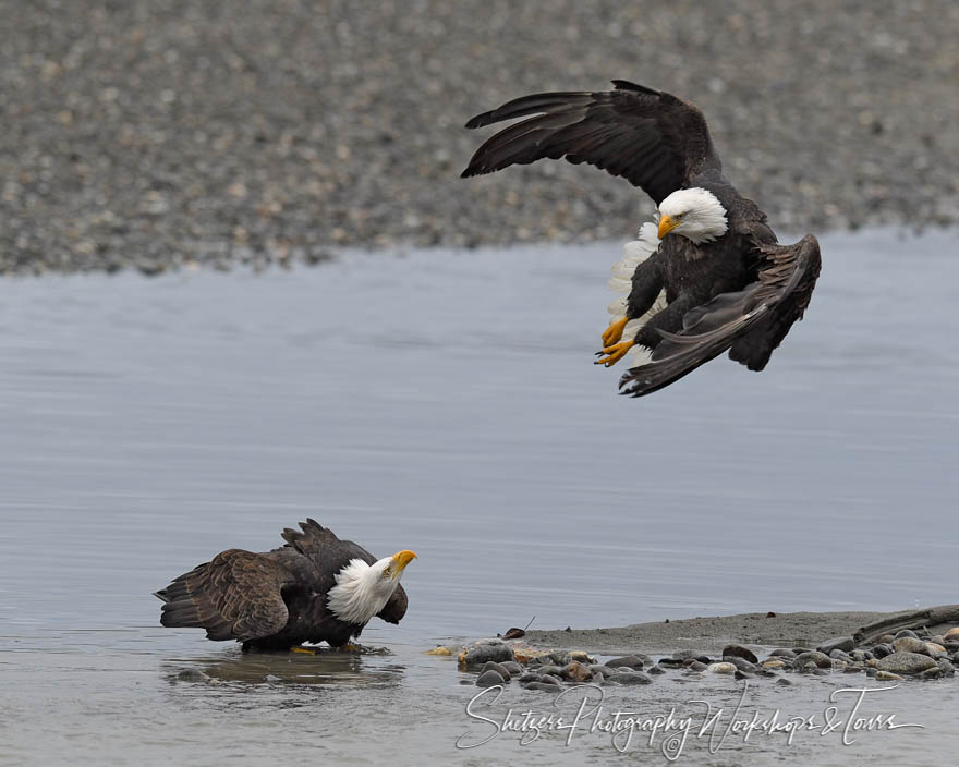 Attack on the Chilkat river 20161109 150048