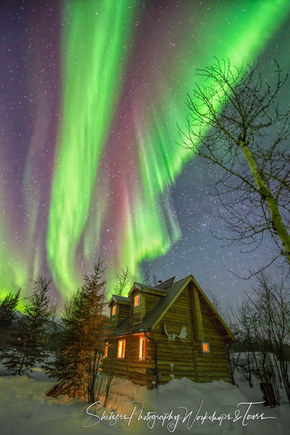 Aurora Borealis shines over Wiseman cabin