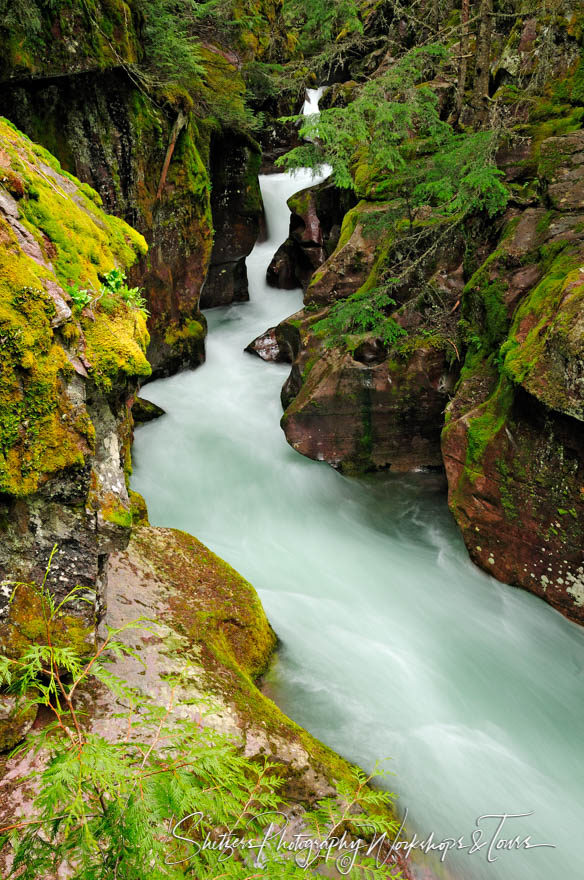 Avalanche Gorge in Glacier National Park