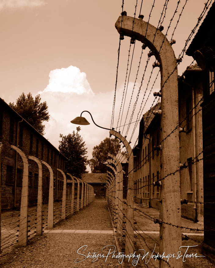 Barbwire of Auschwitz Concentration Camp