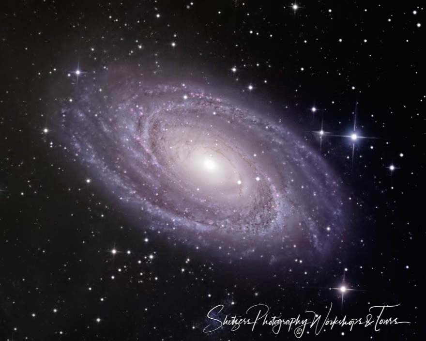 Bodes Galaxy image – M81