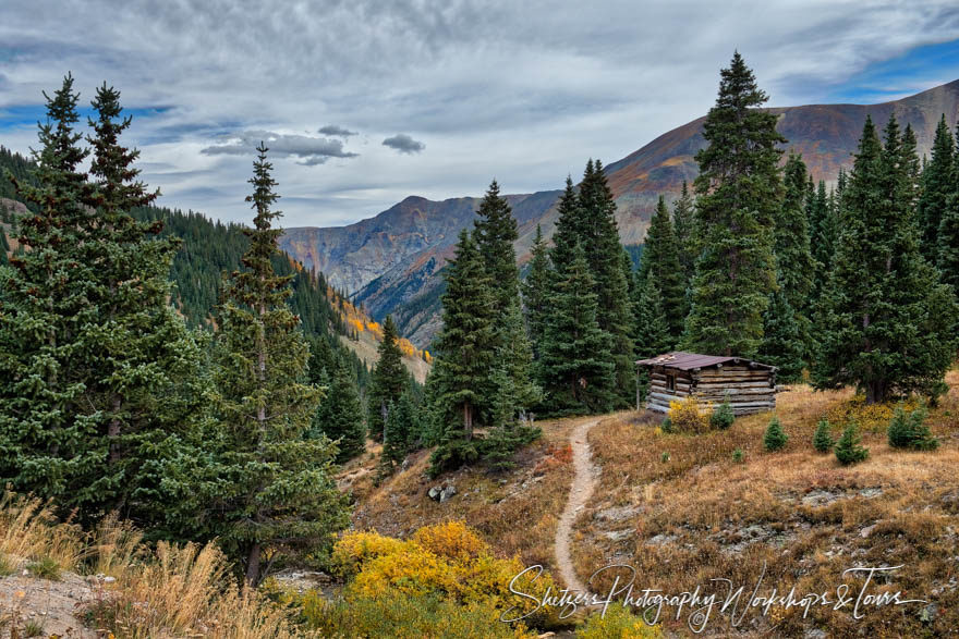 Cabin with a view