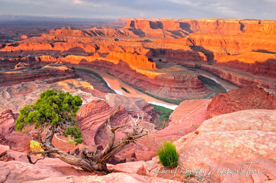 Dead Horse Point near Moab Utah