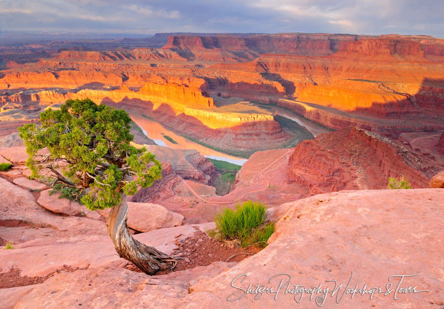 Dead Horse State Park in Utah overlooking Colorado River