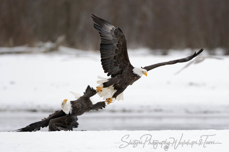 Eagle Talons Locked inflight