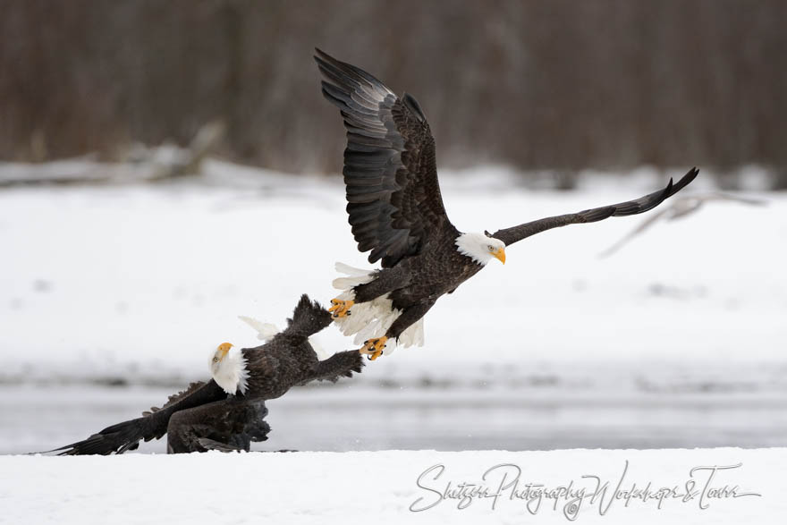 Eagle Talons Locked inflight 20151127 100602