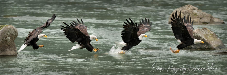 Eagles Fly By Diner