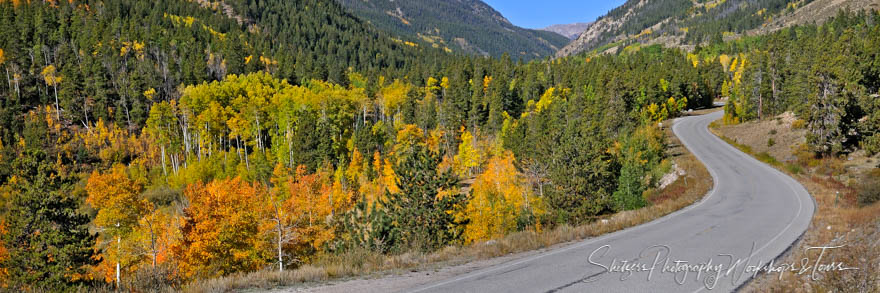 Fall Colors of Colorado 20101201 165843