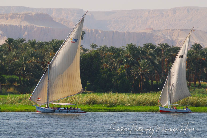 Felucca  Eqyptian sailboats on the Nile