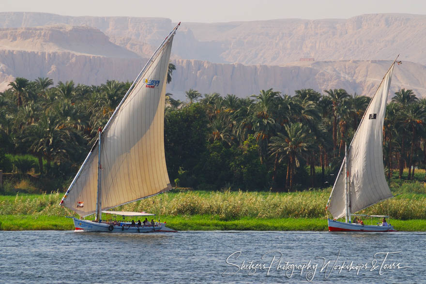 Felucca Eqyptian sailboats on the Nile 20070817 170541
