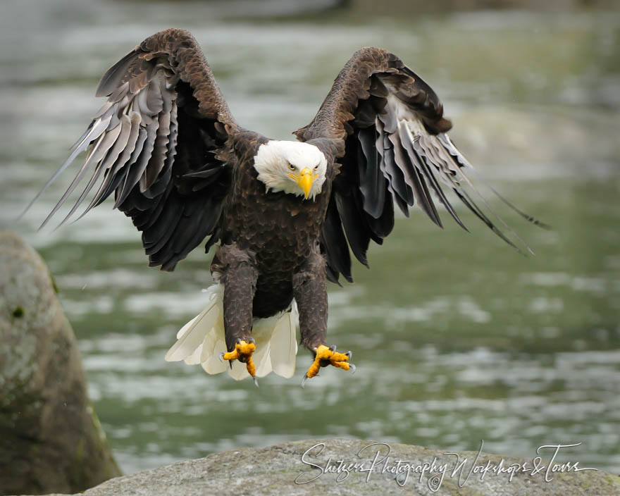 Flaps Down 20101011 212412