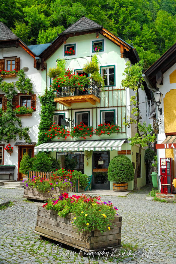 Flowers in Hallstatt Austria