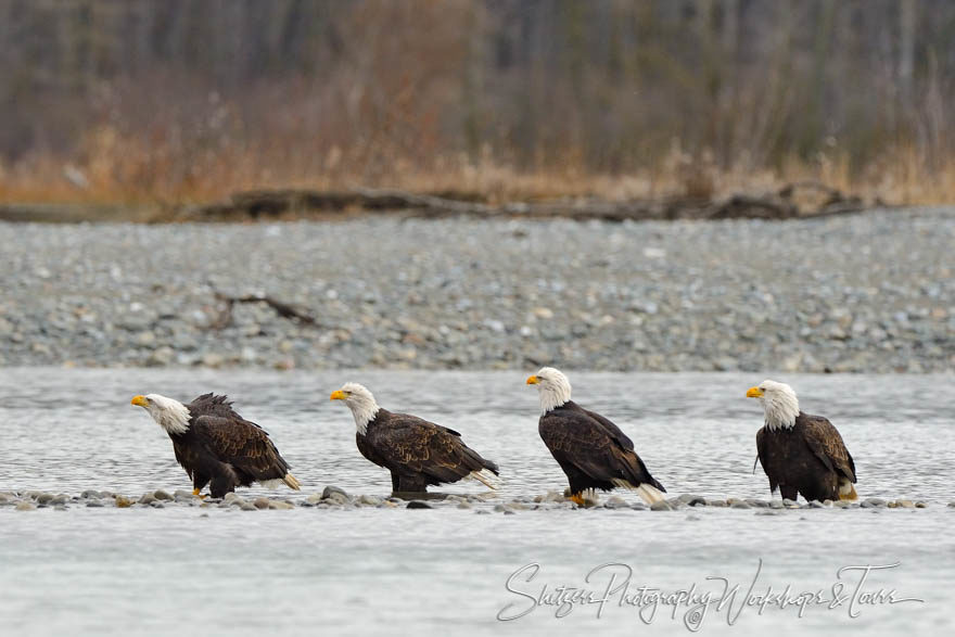 Getting Your Eagles in a Row