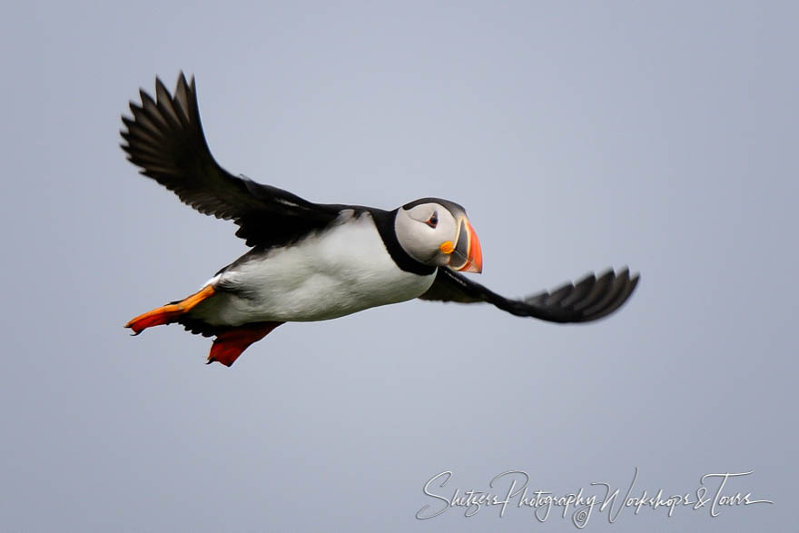 Gliding Along 20110626 143811