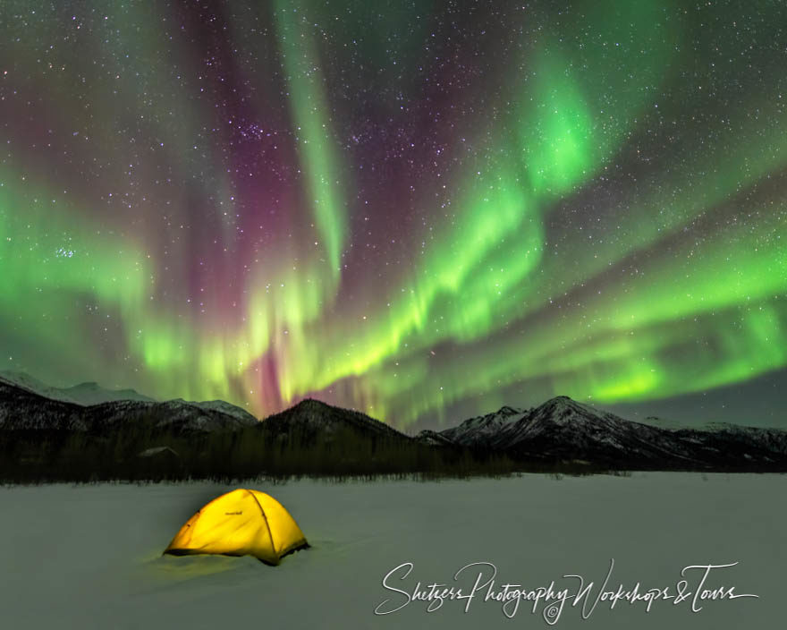 Glowing yellow tent set up under Aurora Borealis
