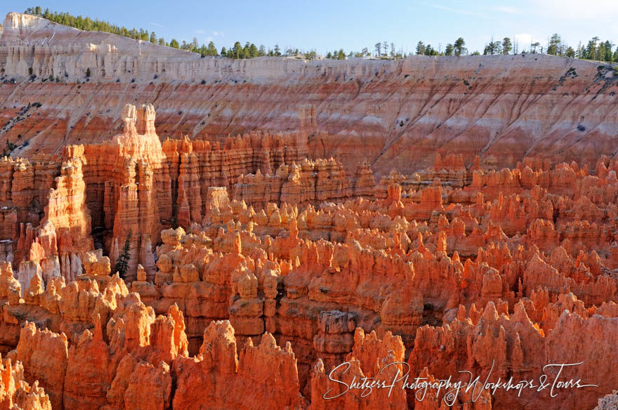 Hoodoo’s in Bryce Canyon National Park