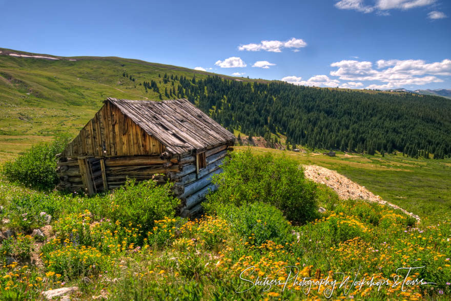 Landscape photo with flowers and cabin