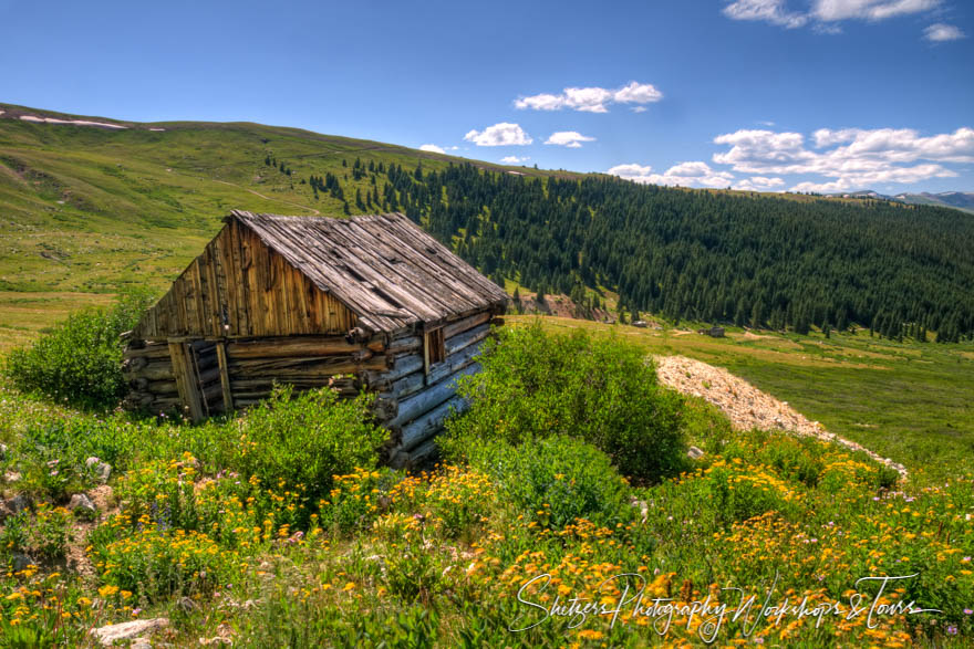 Landscape photo with flowers and cabin 20090809 152906