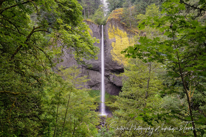 Latourell Falls in the Columbia River valley