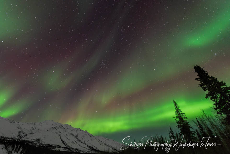 Northern Light fills night sky with green, purple hue