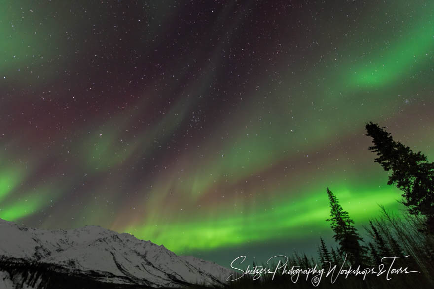 Northern Light fills night sky with green purple hue 20140321 004459