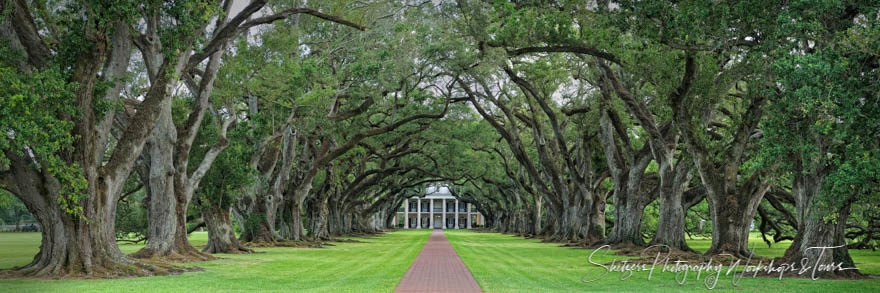 Oak Alley Plantation Louisiana